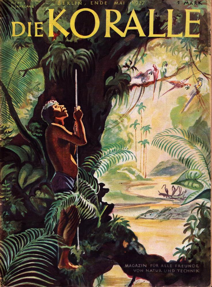 Die Koralle Salamander