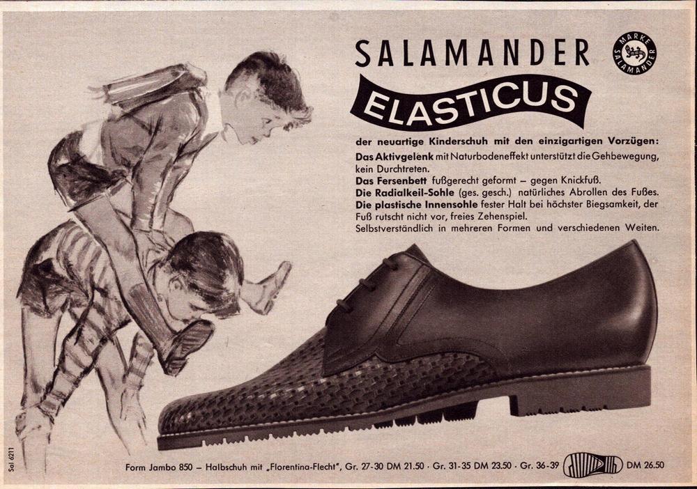 Elasticus Salamander