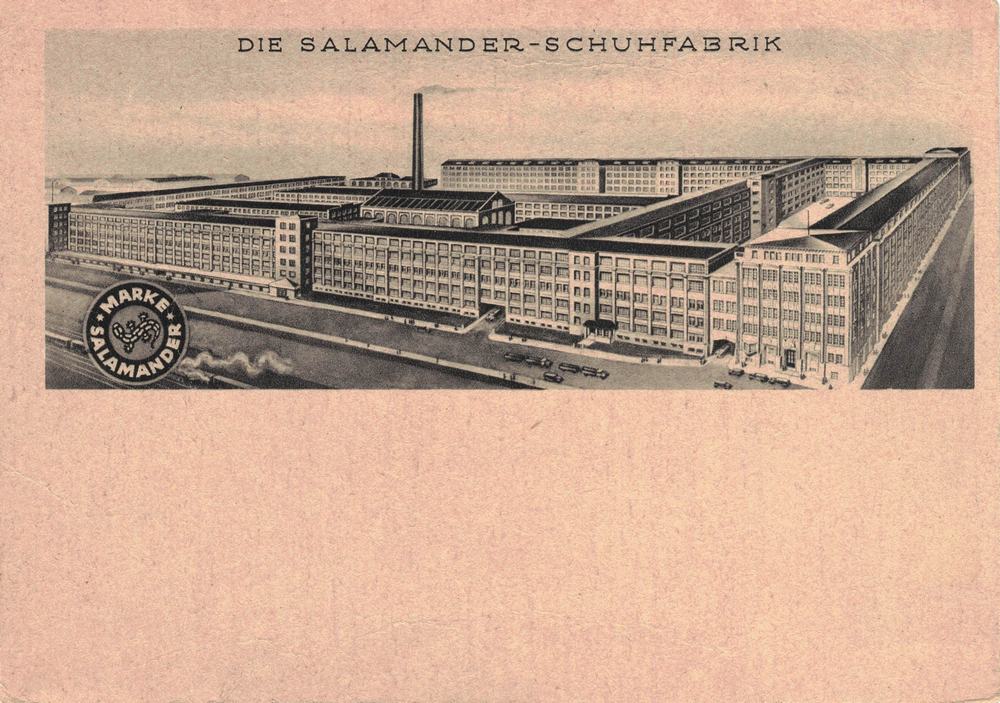 Salamander Kornwestheim
